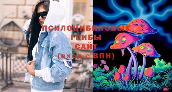 стаф Волосово